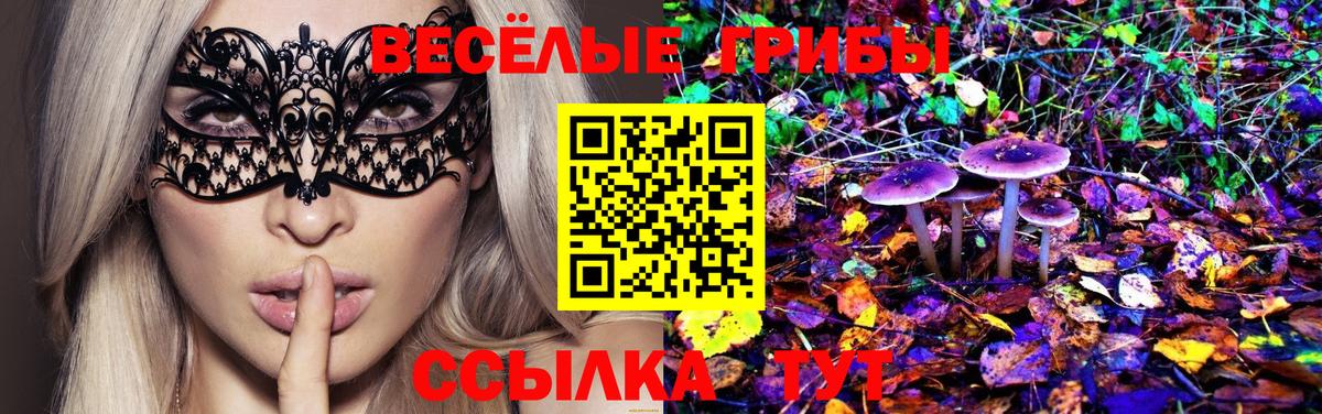 Галлюциногенные грибы Psilocybine cubensis  Вход с VPN  Йошкар-Ола  Псилоцибиновые грибы Psilocybine cubensis 